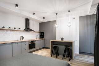 Апартаменты Uptown apartments Вильнюс Апартаменты-студио-13